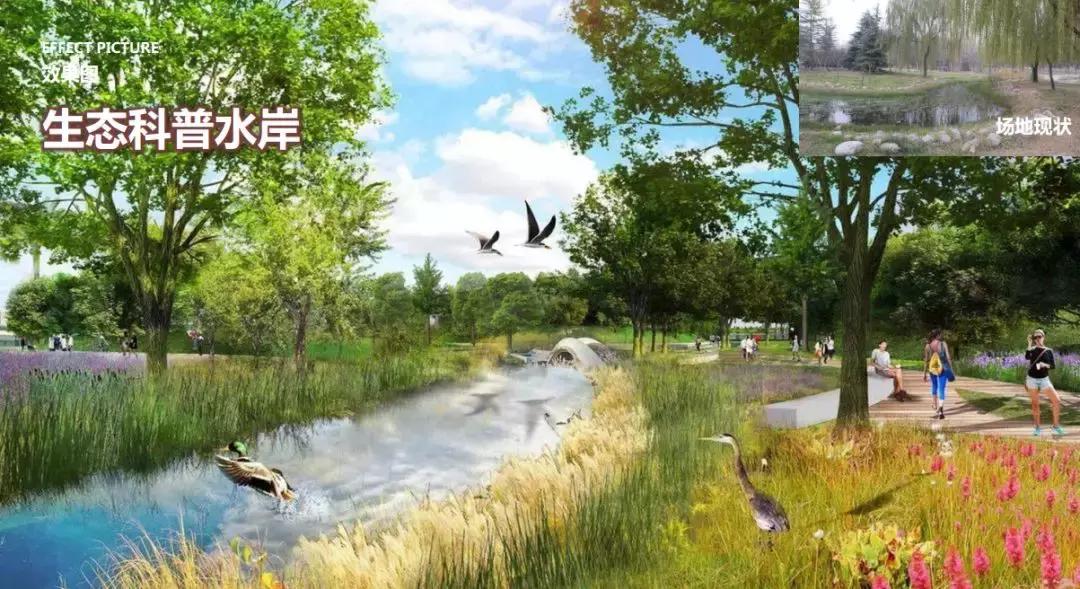 咸阳湖景区二期湿地公园,咸阳湖景区修复