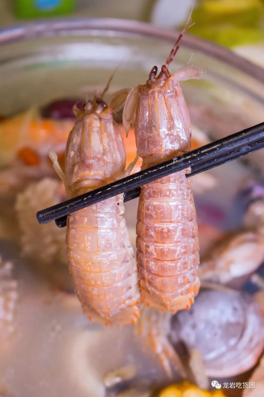 龙岩牛特火锅烤肉,龙岩自助烤肉哪一家好吃