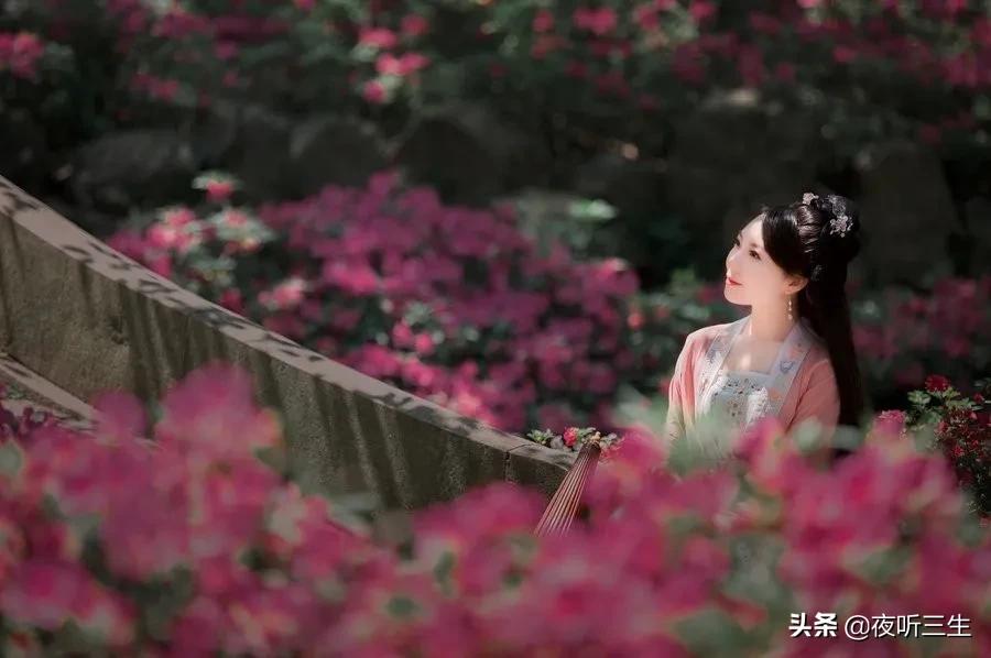 梦里花落知多少夜听,只看梦里花落知多少