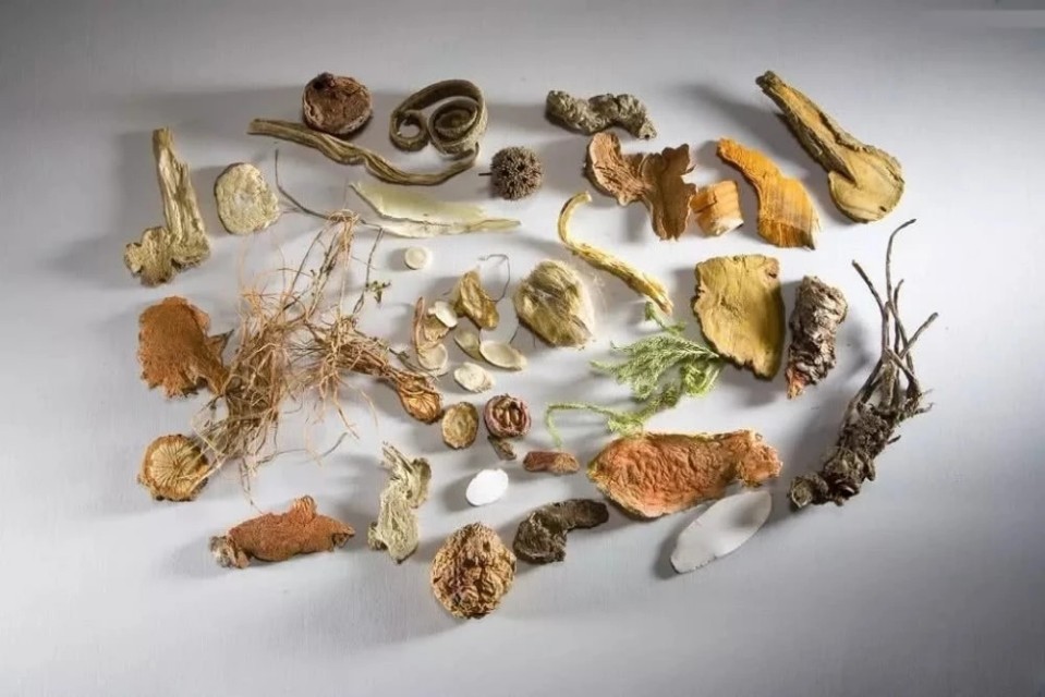 中药炮制常用的仪器和设备,中药炮制常用的液态辅料