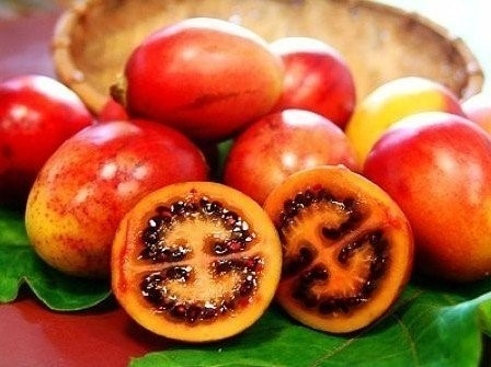 1分钟挑战认出10种罕见水果,5种难得一见的稀有水果