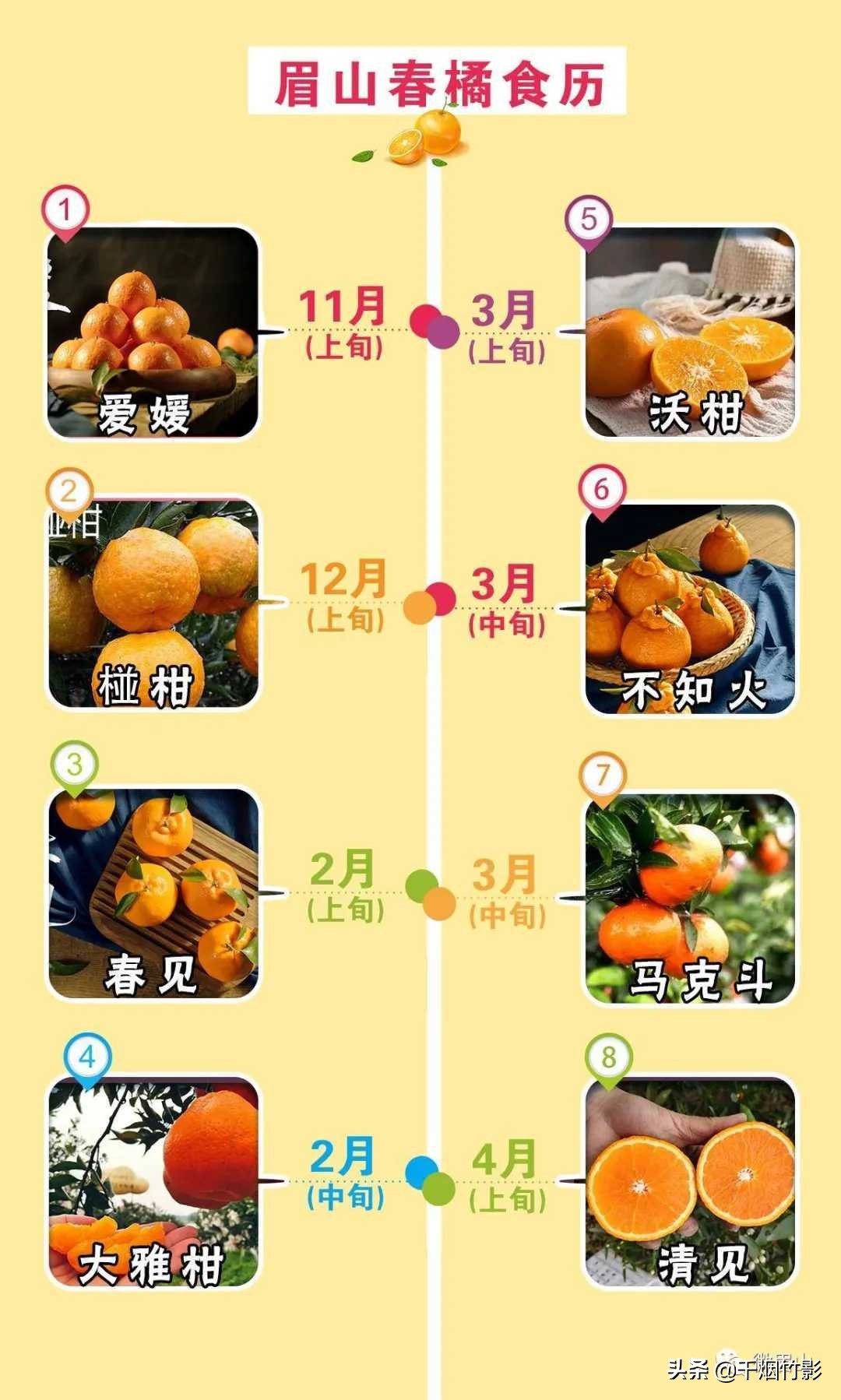 不知火春见,不知火丑橘春见