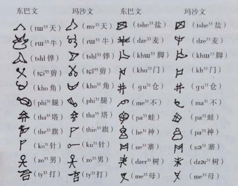 纳西族母系文化,纳西族文化有哪些