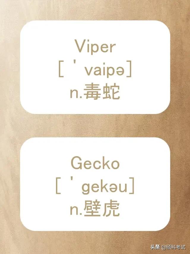 动物的英文拼写及音标,关于动物的单词及音标