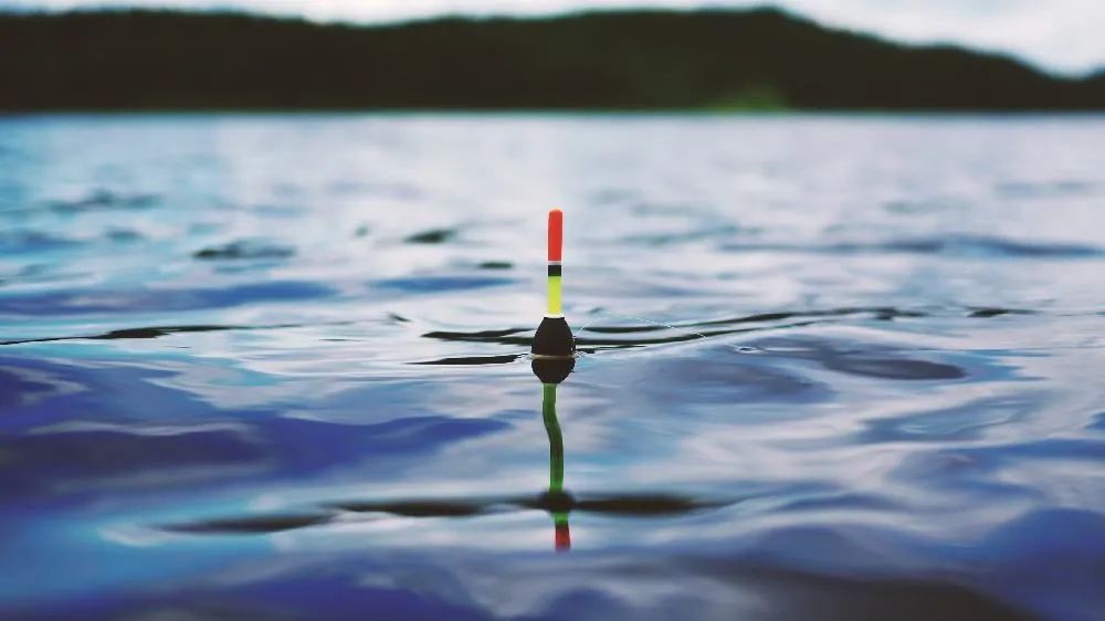 钓鲈鱼的方法和技巧台钓,台钓技巧大全介绍