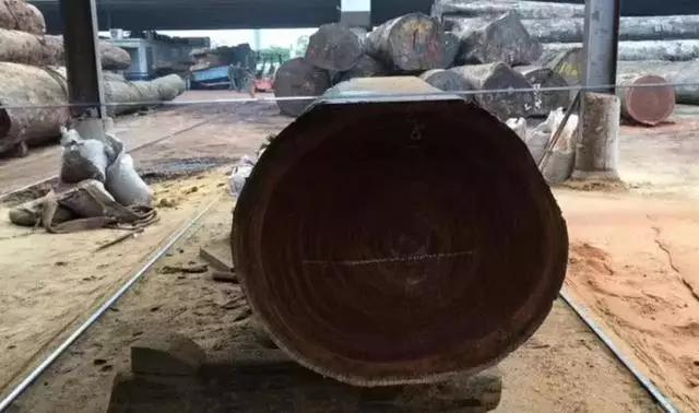 暗访广东天价大板生产基地,原料全是称斤拉木头,富豪还排队来买