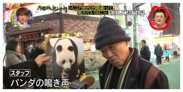 星期一不止有“比村乳业”，还有神经质的日本版《1818黄金眼》