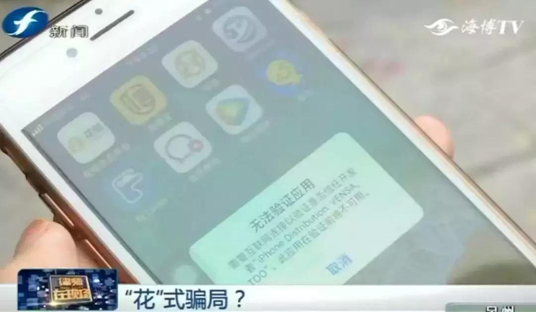 就是这些花……泉州有人为它花了几百万！