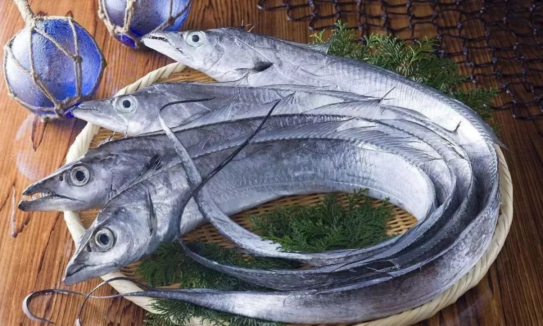 带鱼为什么价格差这么多,带鱼段和带鱼为什么价格差那么多