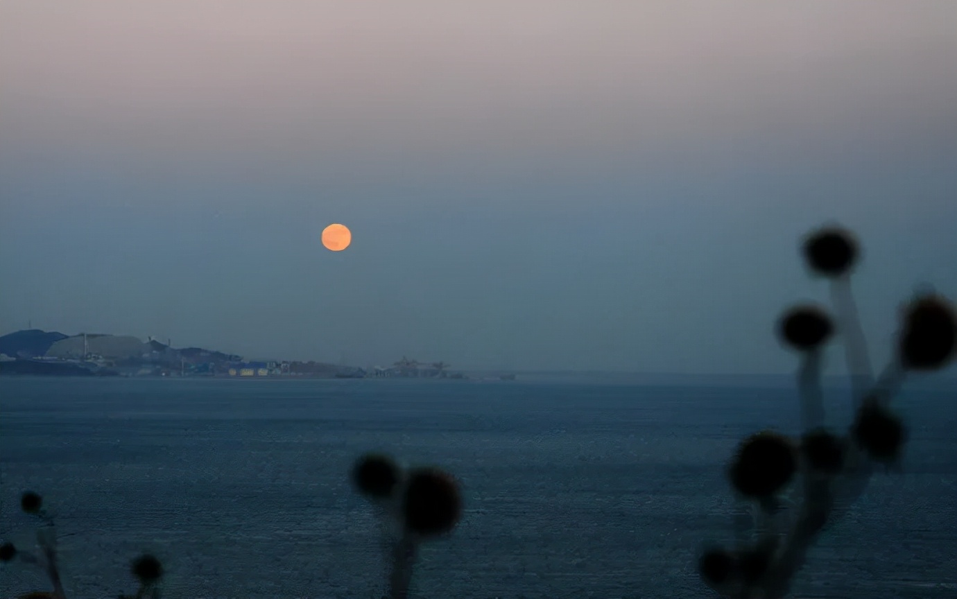 科学家张衡发明地动仪的故事文字,张衡发明地动仪的历史典故