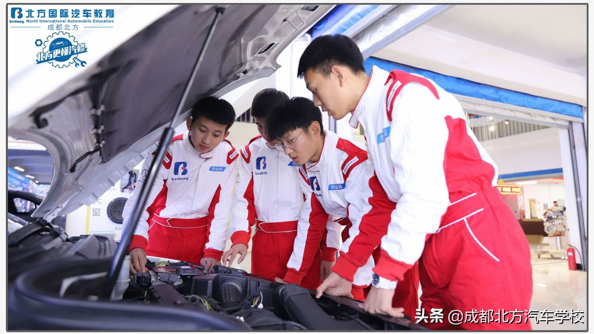 初中生可以学什么专业有前途,初中生能学什么