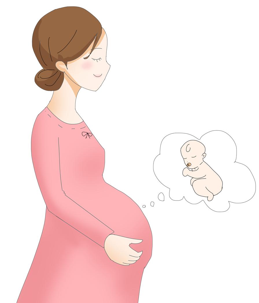 孕早期孕妇的一日食谱,孕早期1-3个月的食谱