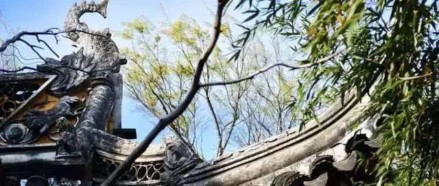 去苏州最值得去的8个地方,外地人到苏州哪些地方值得去