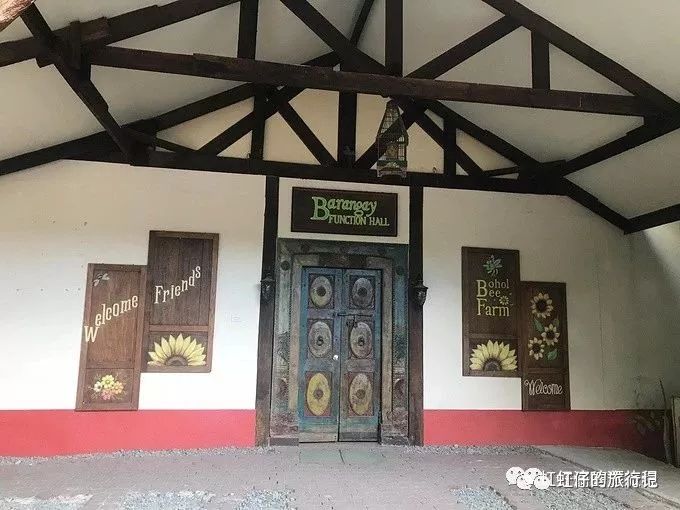 菲律宾旅游团报价七日游语言,英语小白出国留学