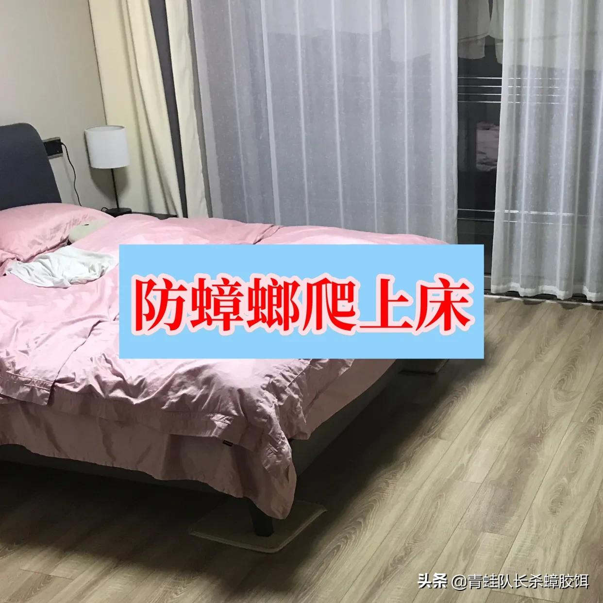 家里有蟑螂怎样驱蟑螂小妙招,家里有蟑螂如何消灭蟑螂