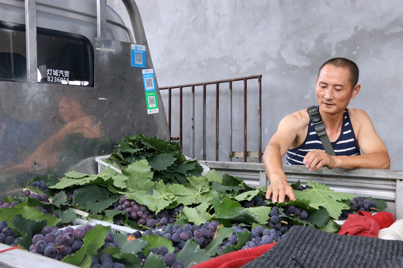 保供水果,保供应稳价格确保百姓菜篮子供应