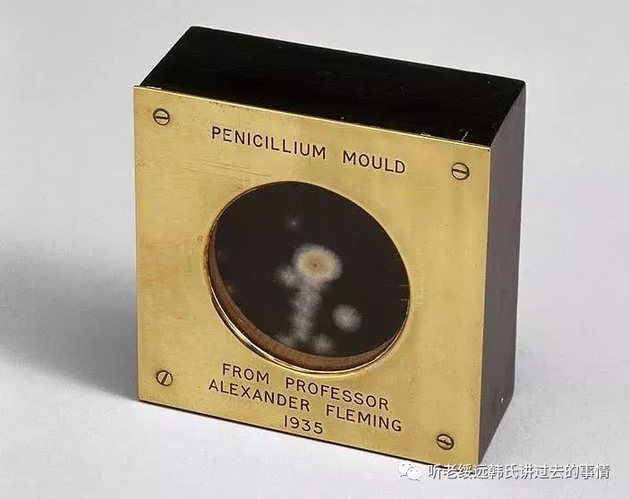 老韩讲故事：盘尼西林的故事