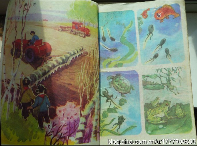 五年制小学语文课本80后回忆,80后一代人的上学生活回忆