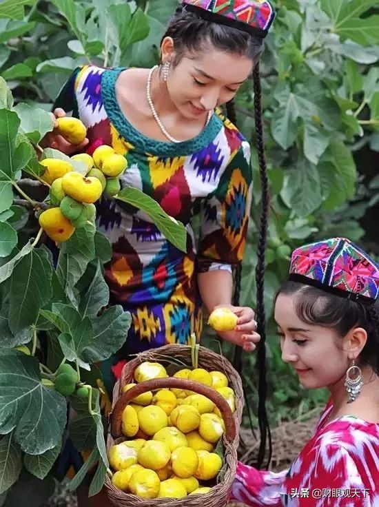 不能错过当地水果,不能错过美味的水果