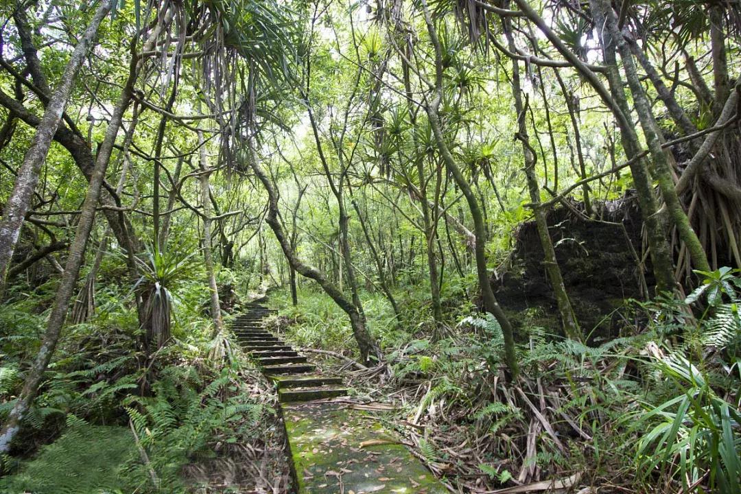 留尼汪岛成为旅游胜地的原因,留尼汪岛最佳旅游时间