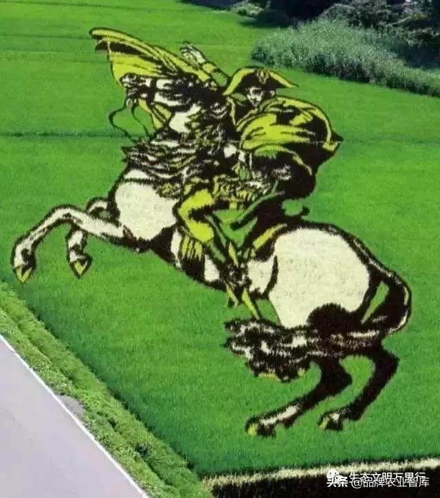 变态的日本农业：敬畏自然、超前思维、死磕单品！