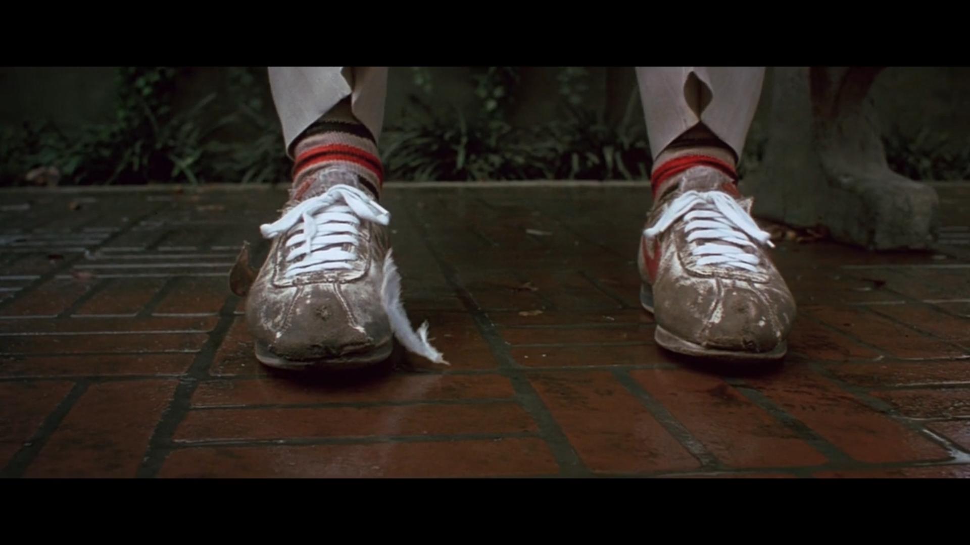 阿甘正传传奇,1994阿甘正传主题曲