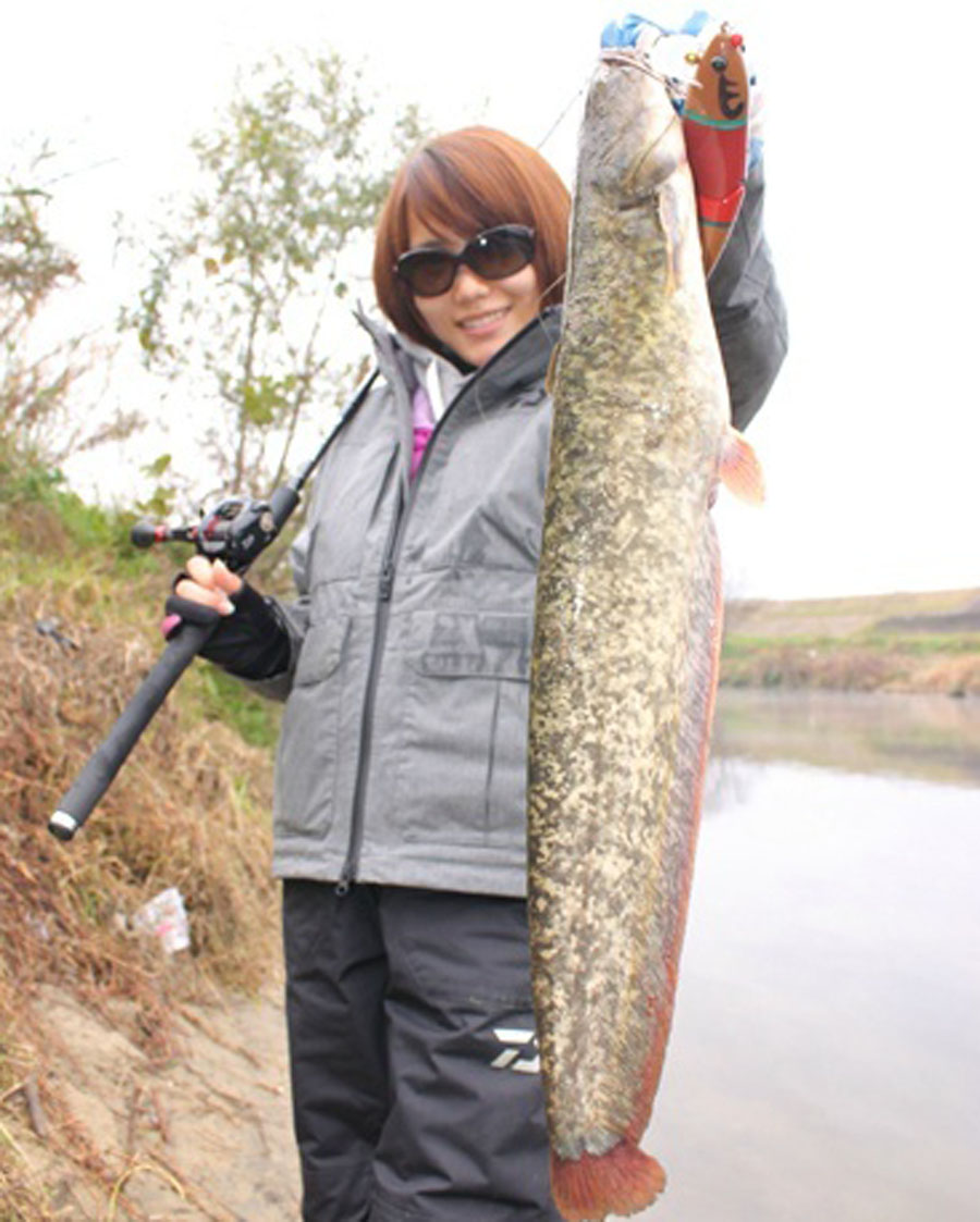 路亚入门路亚如何才能钓到鱼,淡水路亚怎么钓中鱼率高