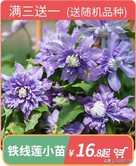 开新店买一送一活动,新店开业搞什么活动买十送十