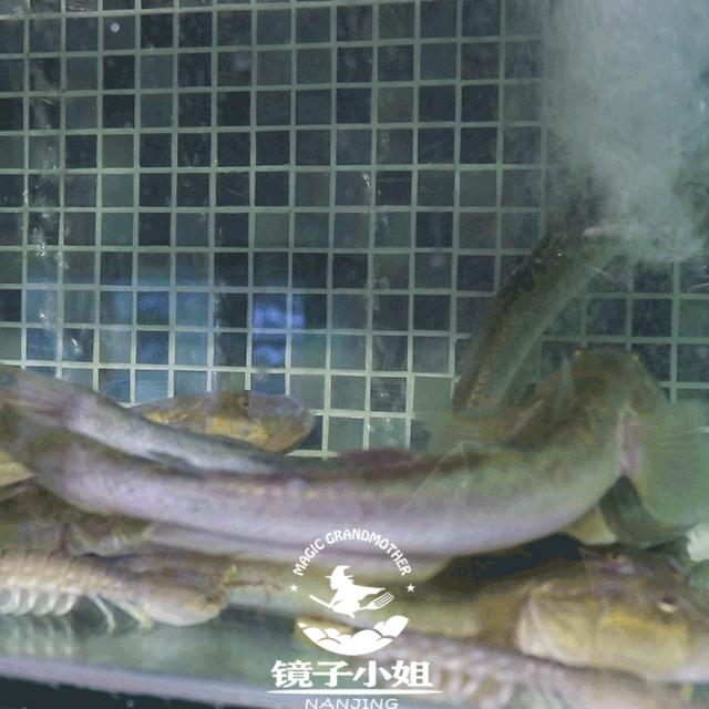 温州瓯菜十大系列菜,隐藏在南京巷子深处的美食