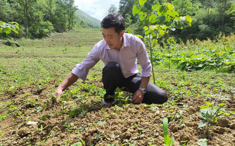 飞地荆竹园:美好生活“起飞”