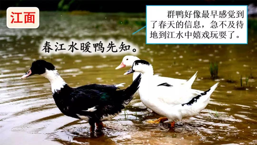 三年级下册语文第一单元测试卷,三年级下册语文教学视频人教版