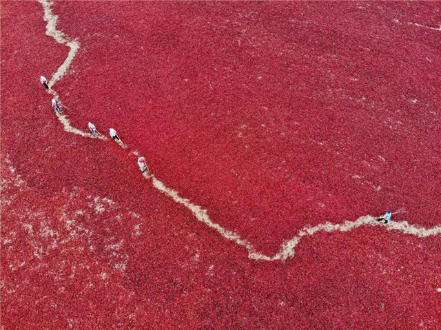 祖国腹地的一柄玉如意 甘肃如此多娇