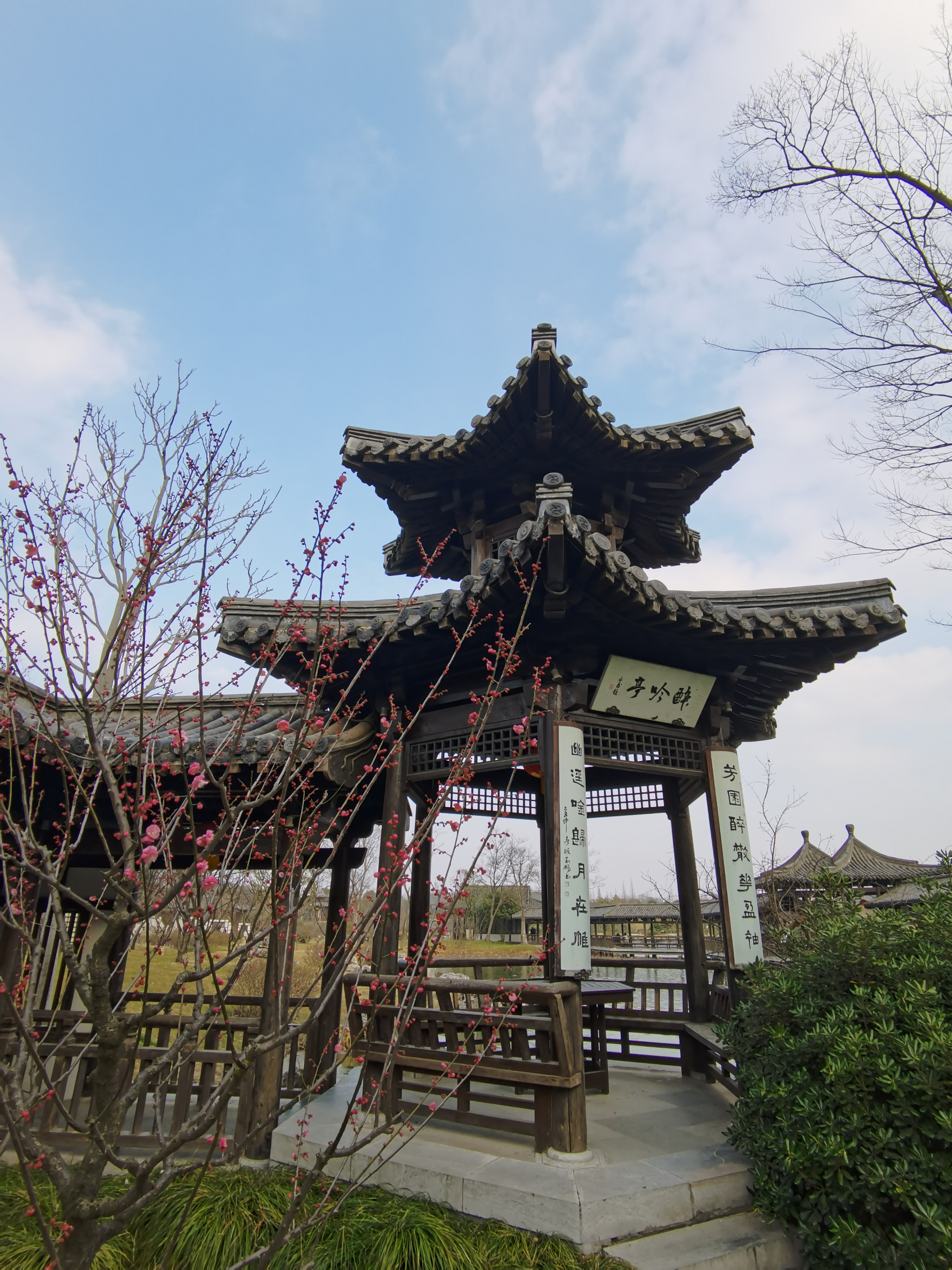 三月的瘦西湖到底有多美,瘦西湖景色到底有多美