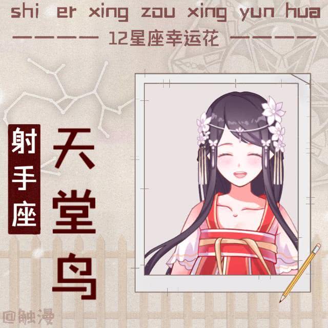 12星座之幸运花,十二星座谁给锦鲤带来好运