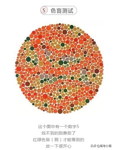 色盲色弱可以考驾照吗?新交规对色盲色弱考驾照是怎么规定的?