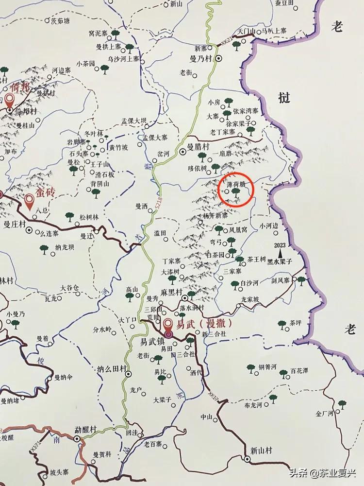 薄荷塘纯料茶,薄荷塘茶加工