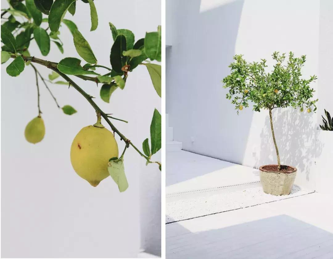 适合冬天旅游的亲子民宿,国内有山有水适合亲子的民宿推荐