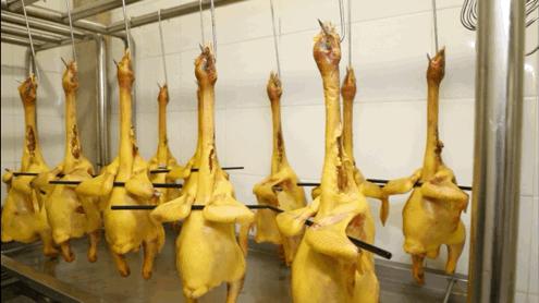 当着客人的面“玩火”？卓悦中心这家店喊你吃鸡