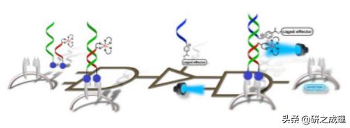 鍌寲鍛ㄦ姤,鍌寲蹇姤鏈熷垔