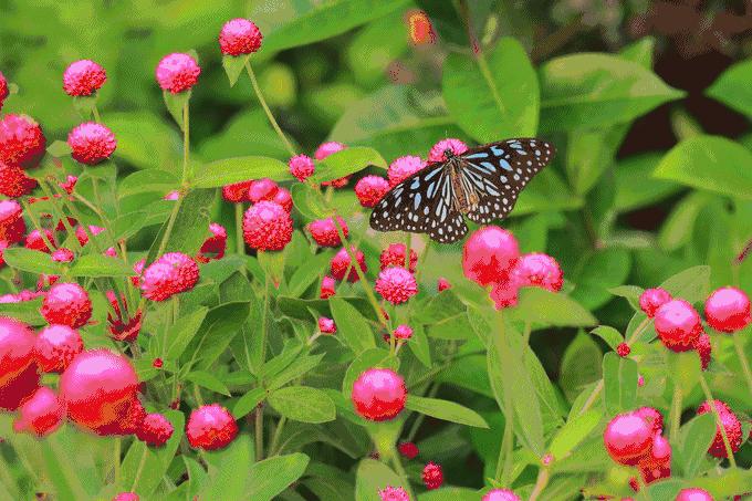 深圳青青世界有什么好玩,深圳青青世界亲子套票