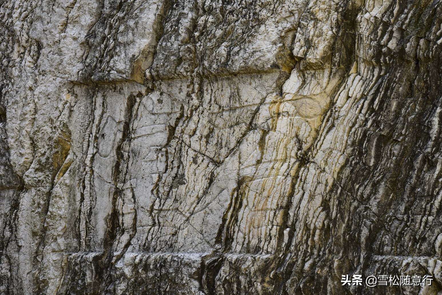 琛岃蛋鍦ㄤ含鏉ぇ杩愭渤,寰愬窞澶ц繍娌宠寘鏉戞