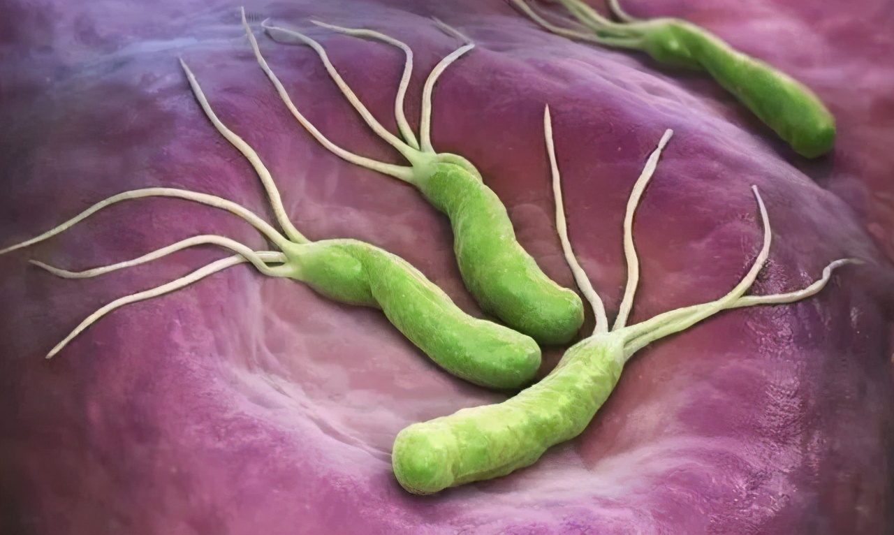 「掌健识」国际护胃日：幽门螺杆菌检测阳性怎么办？