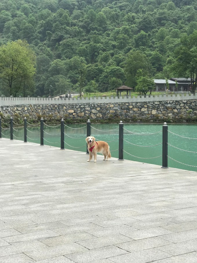 成都喇叭河自驾,自贡到喇叭河自驾