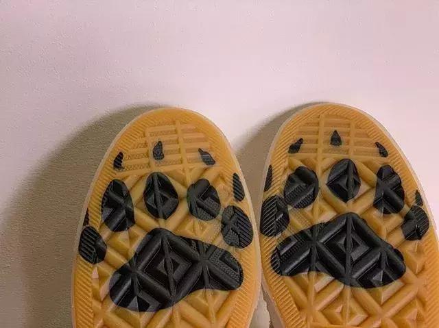 nike最新新闻,今日nike最新消息