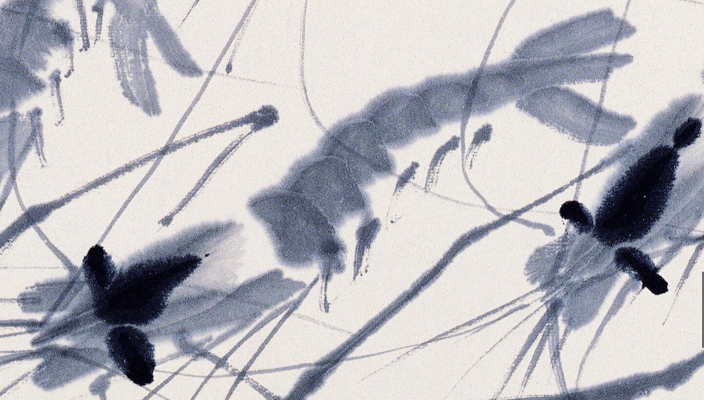 白石老人画虾视频大全,白石老人画虾的感悟