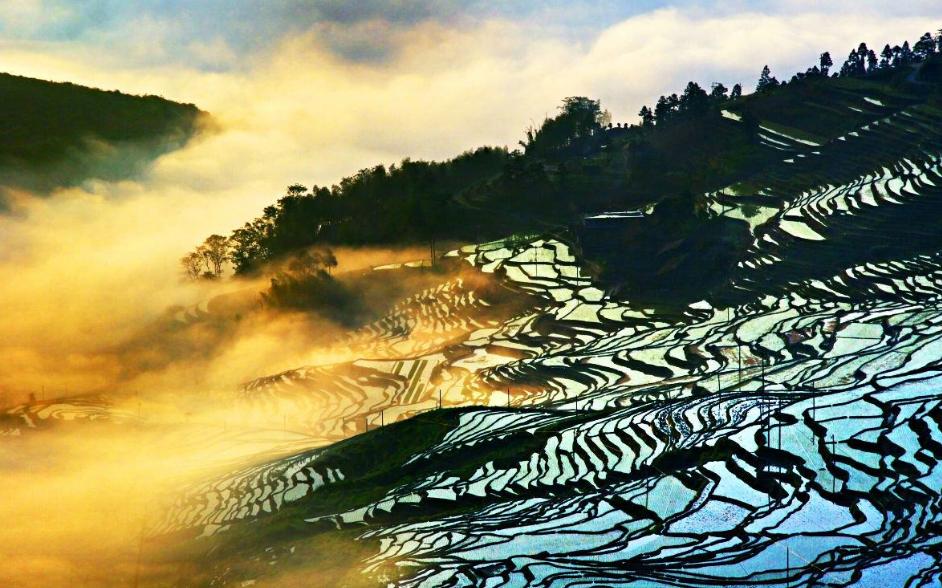 三明为什么被称为宝藏城市,福建三明稀世珍宝