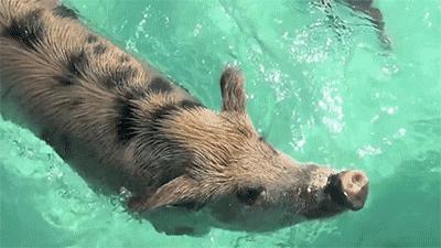 世界上真的存在蜘蛛侠吗,人类有可能变成蜘蛛侠吗