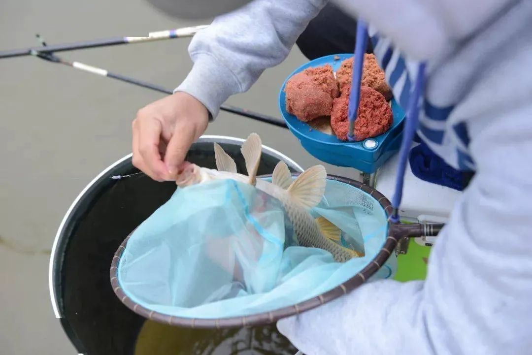 钓鲈鱼的方法和技巧台钓,台钓技巧大全介绍