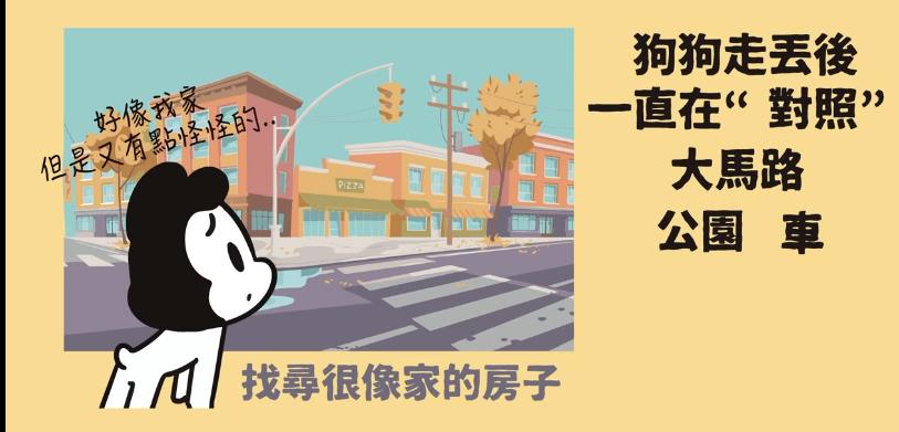 宠物狗走丢了一般怎么找回,在哪里寻找走丢的狗狗最有效