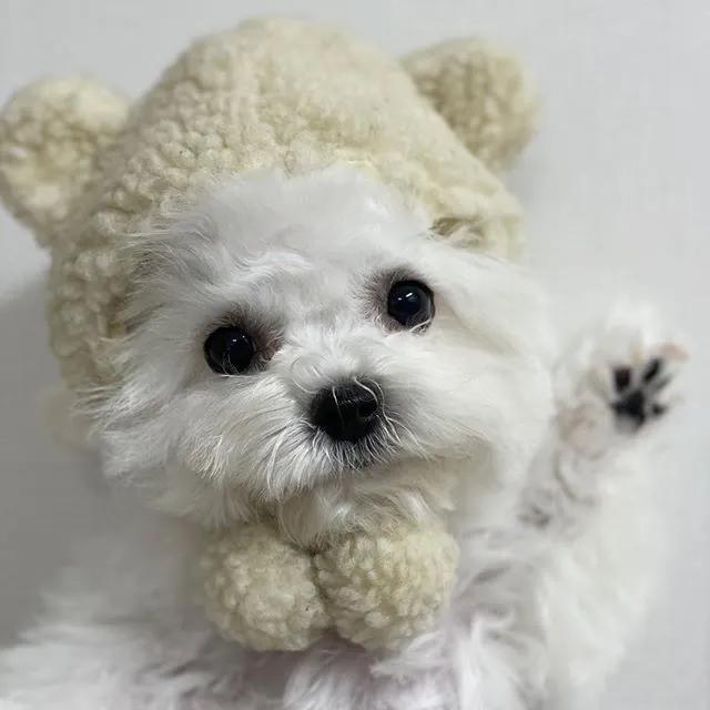 拿什么方式减压,有什么最好的减压方法